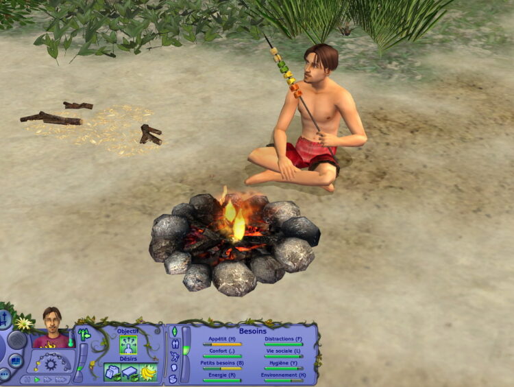 Sims 2 castaway