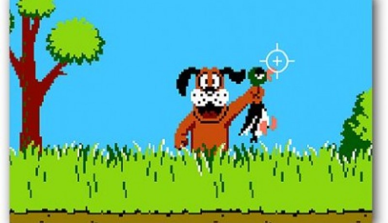 Duck Hunt