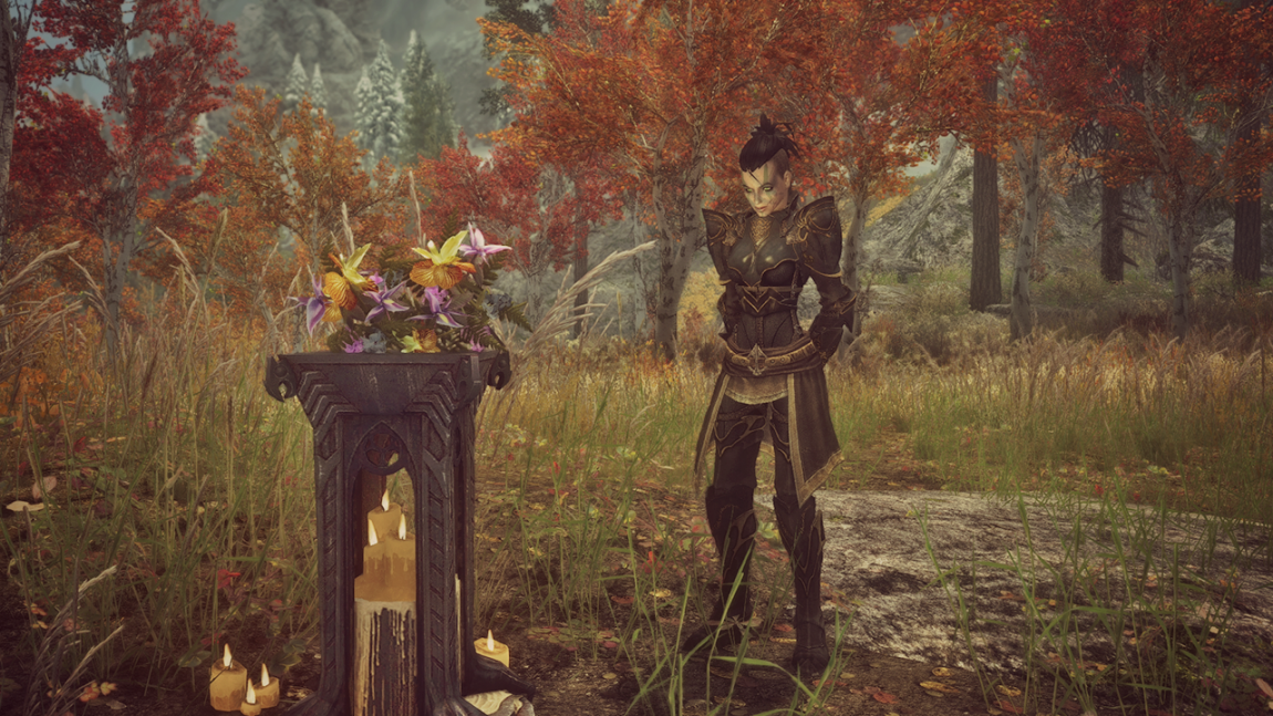 Skyrim Mod over overleden broer (gamers overal rond de wereld)