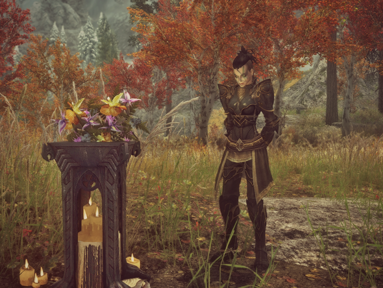 Skyrim Mod over overleden broer (gamers overal rond de wereld)