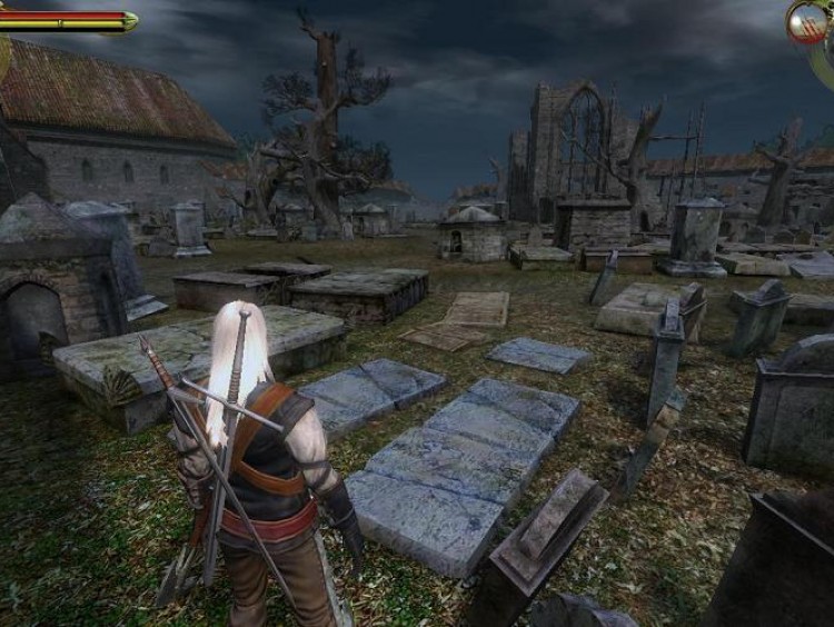 The Witcher